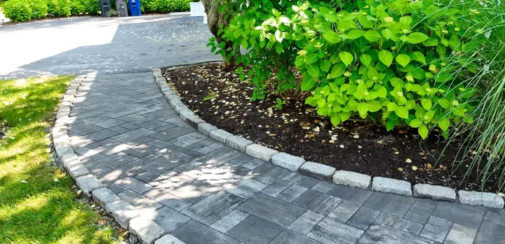 Curved stone garden path beside lush planting from the Contrast Landscape portfolio